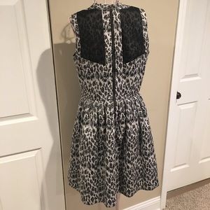 Taylor Dresses - Taylor Fit and Flare Dress Taylor Dresses - Taylor Fit and Flare Dress
